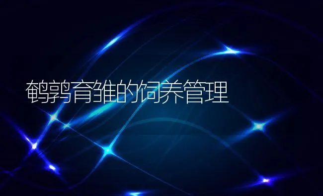 从五个方面加强冬春鱼塘管理提高淡水鱼养殖效益 | 海水养殖技术