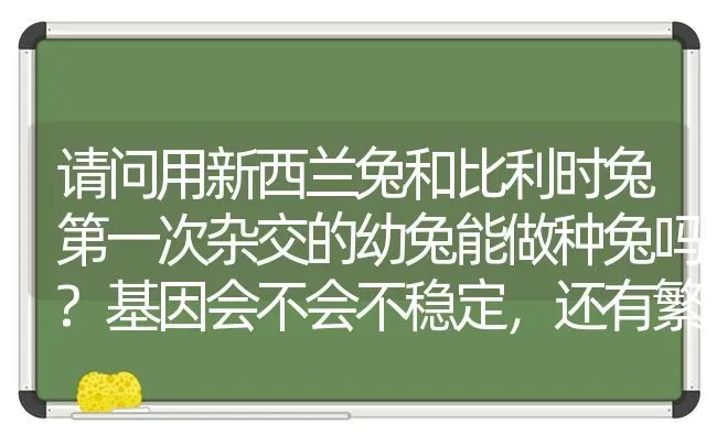 请问用新西兰兔和比利时兔第一次杂交的幼兔能做种兔吗?基因会不会不稳定，还有繁殖能力会不会有问题？ | 动物养殖问答