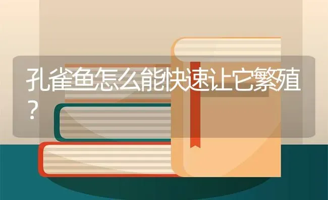 孔雀鱼怎么能快速让它繁殖？ | 鱼类宠物饲养