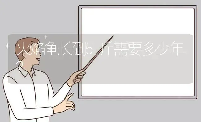 火焰龟长到5斤需要多少年？ | 动物养殖问答