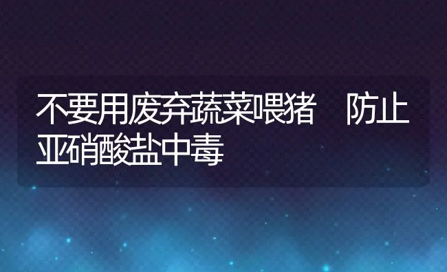 罗汉鱼饵料常识 | 海水养殖技术