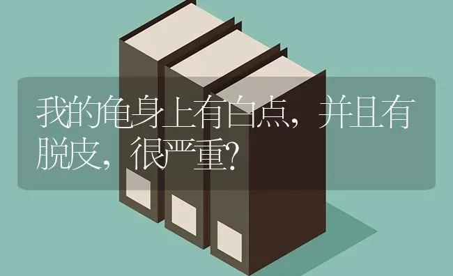 我的龟身上有白点，并且有脱皮，很严重？ | 动物养殖问答