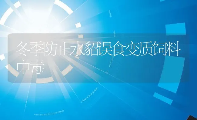 冬季防止水貂误食变质饲料中毒 | 水产养殖知识