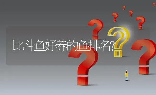 比斗鱼好养的鱼排名？ | 鱼类宠物饲养