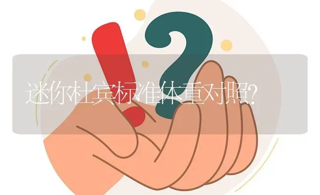 迷你杜宾标准体重对照？ | 动物养殖问答