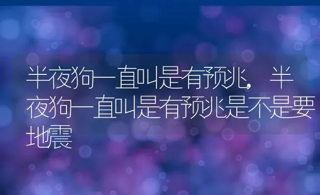 半夜狗一直叫是有预兆,半夜狗一直叫是有预兆是不是要地震 | 宠物百科知识