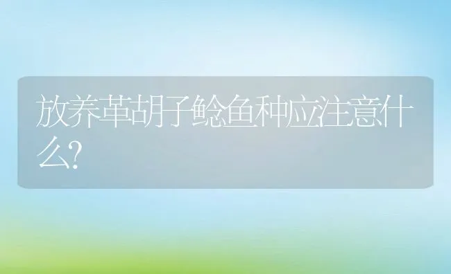 放养革胡子鲶鱼种应注意什么？ | 动物养殖饲料