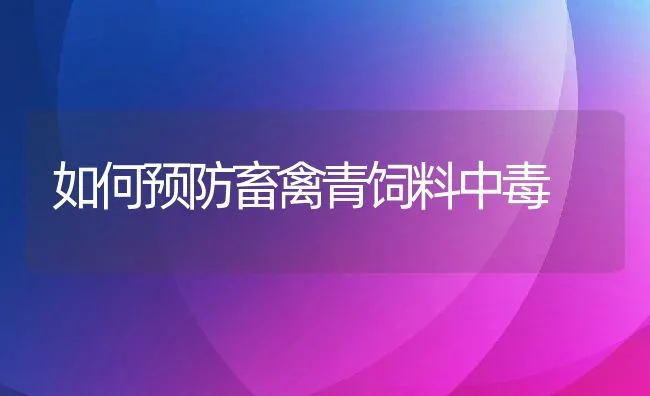 仔猪刚断奶喂料要三看 | 动物养殖学堂