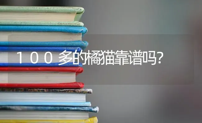 100多的橘猫靠谱吗？ | 动物养殖问答