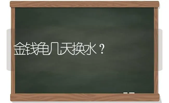 金钱龟几天换水？ | 动物养殖问答