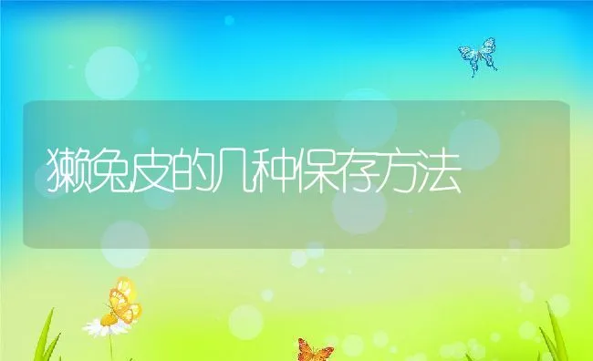 导致母猪屡配不孕的四大因素 | 动物养殖学堂