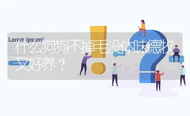 什么狗狗不掉毛没体味德牧又好养？ | 动物养殖问答