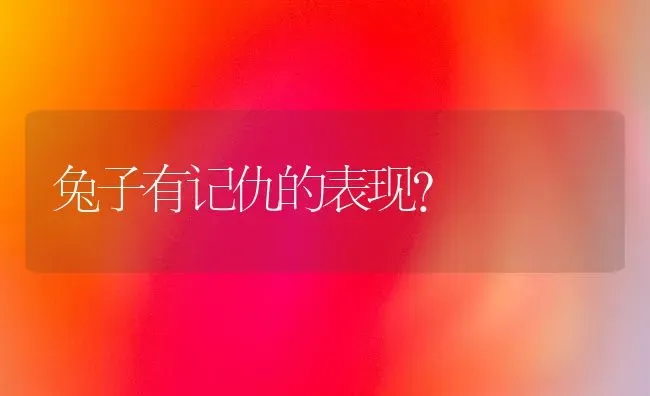 兔子有记仇的表现？ | 动物养殖问答