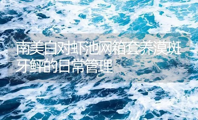 南美白对虾池网箱套养漠斑牙鲆的日常管理 | 海水养殖技术