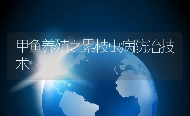 甲鱼养殖之累枝虫病防治技术 | 水产养殖知识