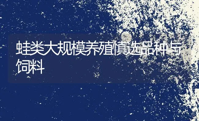 蛙类大规模养殖慎选品种与饲料 | 动物养殖饲料