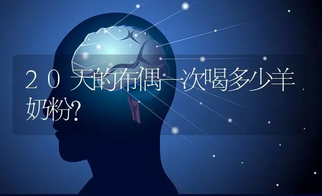 20天的布偶一次喝多少羊奶粉？ | 动物养殖问答