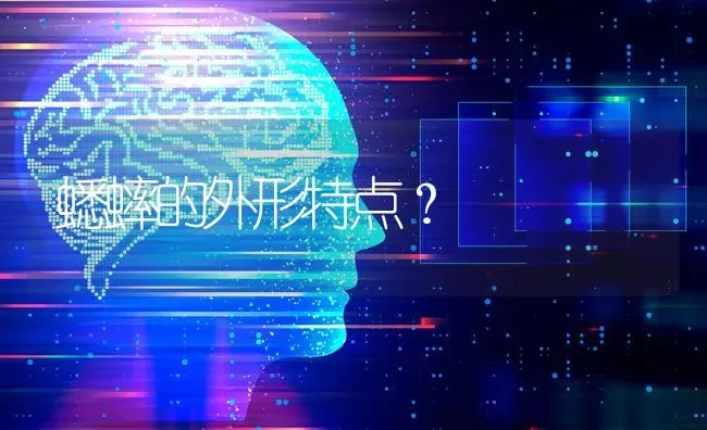 蟋蟀的外形特点？ | 动物养殖问答