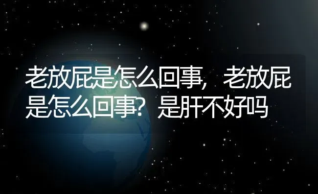 老放屁是怎么回事,老放屁是怎么回事?是肝不好吗 | 宠物百科知识