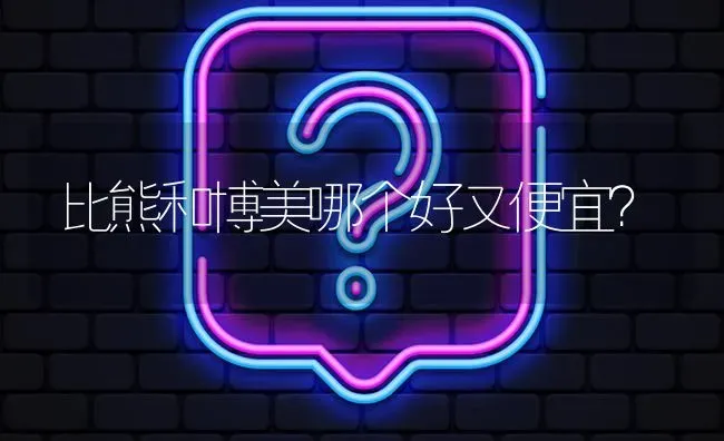 比熊和博美哪个好又便宜？ | 动物养殖问答