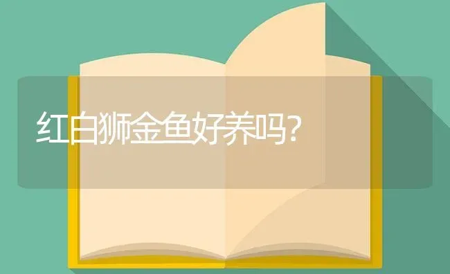 红白狮金鱼好养吗？ | 鱼类宠物饲养