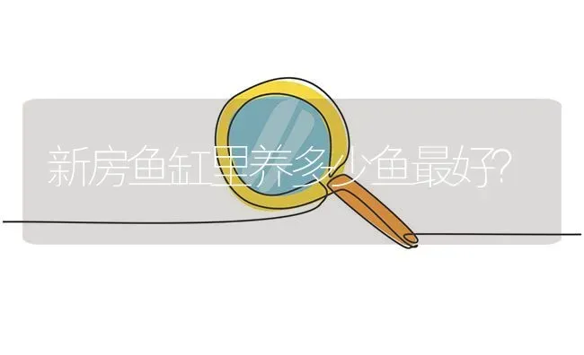 新房鱼缸里养多少鱼最好？ | 鱼类宠物饲养