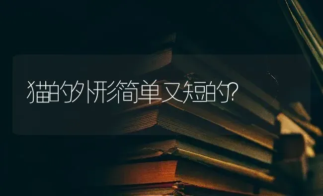 猫的外形简单又短的？ | 动物养殖问答