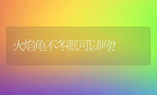 火焰龟不冬眠可以吗？ | 动物养殖问答