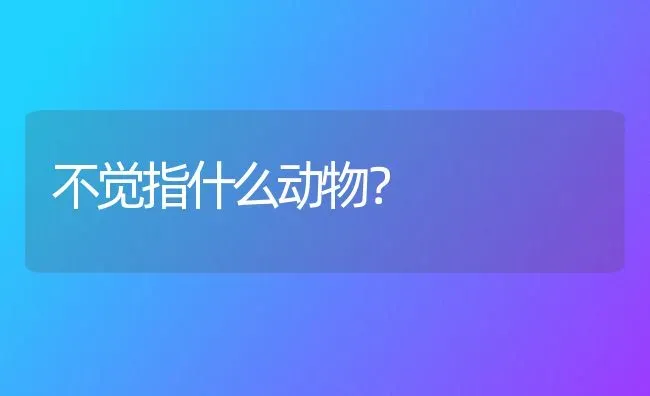 不觉指什么动物？ | 动物养殖问答