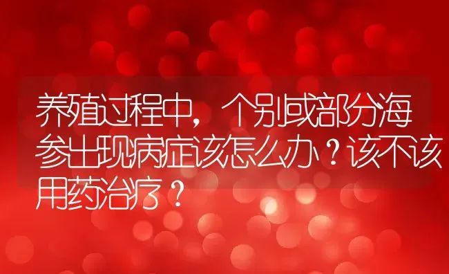 养殖过程中，个别或部分海参出现病症该怎么办？该不该用药治疗？ | 动物养殖教程