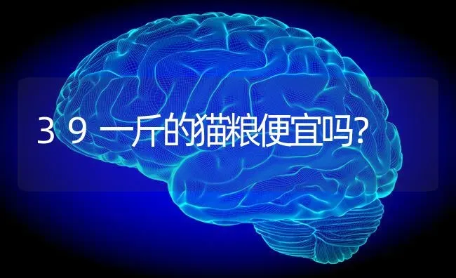 39一斤的猫粮便宜吗？ | 动物养殖问答