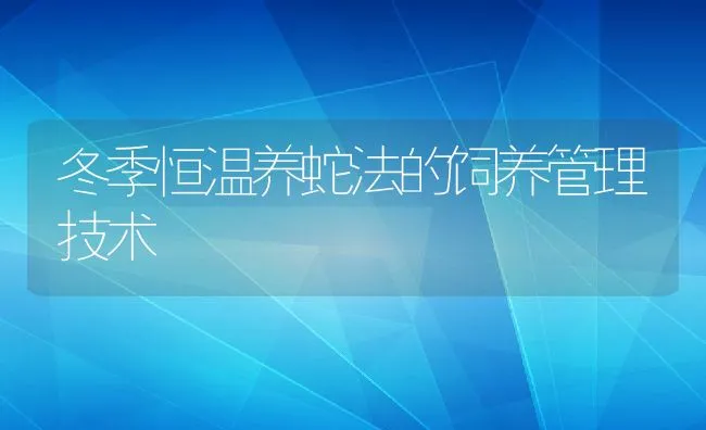 冬季恒温养蛇法的饲养管理技术 | 动物养殖饲料