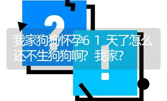 我家狗狗怀孕61天了怎么还不生狗狗啊?我家？ | 动物养殖问答