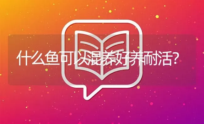 什么鱼可以混养好养耐活？ | 鱼类宠物饲养