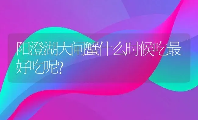 阳澄湖大闸蟹什么时候吃最好吃呢？ | 动物养殖百科