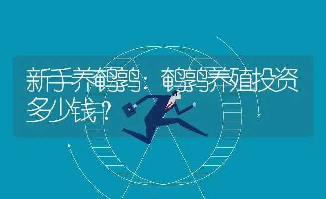 新手养鹌鹑：鹌鹑养殖投资多少钱？ | 动物养殖百科