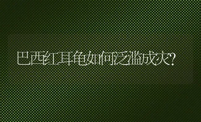 珍珠鸟生蛋了，该怎么照料？它还有什么习性？ | 动物养殖问答