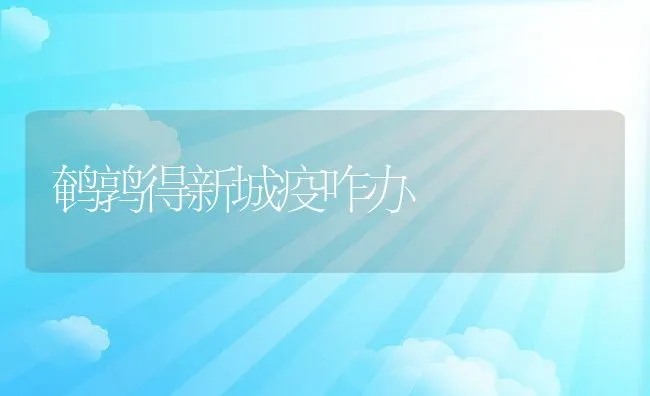 春季海参养殖需注意什么 | 海水养殖技术