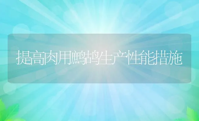 提高肉用鹧鸪生产性能措施 | 水产养殖知识