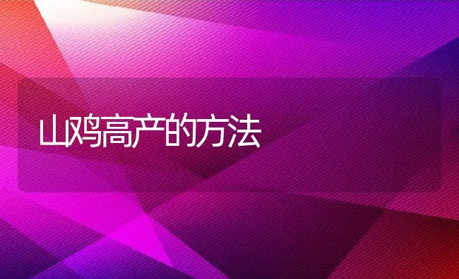 山鸡高产的方法 | 水产养殖知识