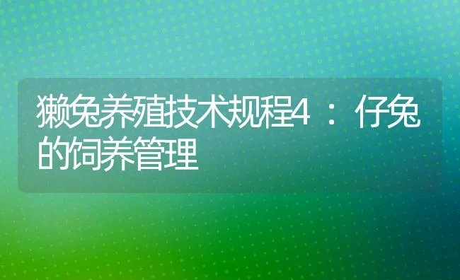 獭兔养殖技术规程4：仔兔的饲养管理 | 水产养殖知识