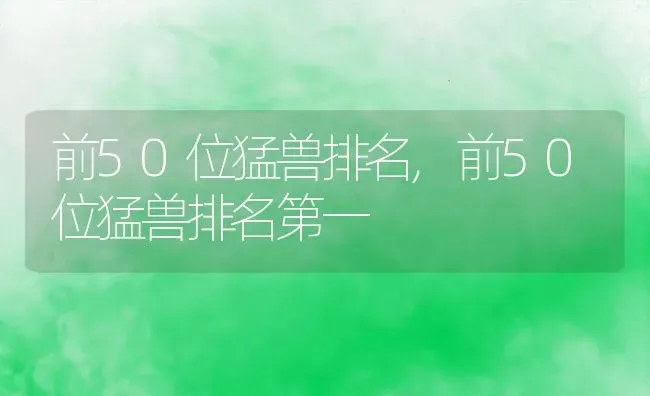 前50位猛兽排名,前50位猛兽排名第一 | 宠物百科知识
