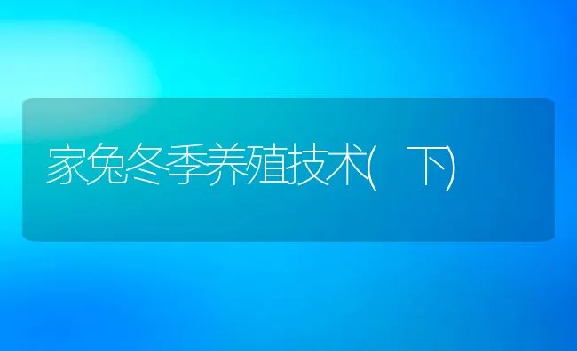 家兔冬季养殖技术(下) | 水产养殖知识