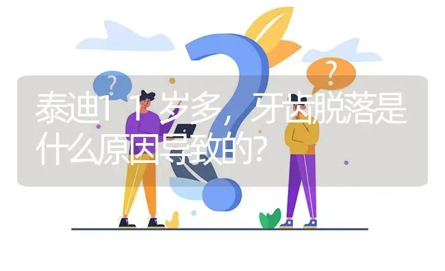 泰迪11岁多，牙齿脱落是什么原因导致的？ | 动物养殖问答