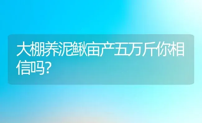 大棚养泥鳅亩产五万斤你相信吗？ | 动物养殖百科