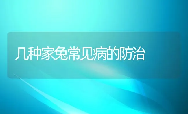 几种家兔常见病的防治 | 动物养殖学堂