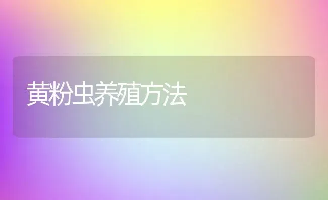 黄粉虫养殖方法 | 动物养殖百科