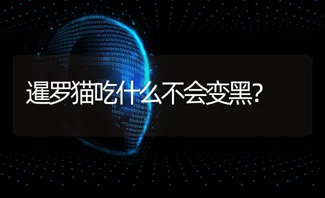 暹罗猫吃什么不会变黑？ | 动物养殖问答