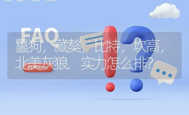 鬣狗，藏獒，比特，坎高，北美灰狼.实力怎么排？ | 动物养殖问答