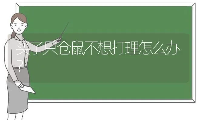 为什么猫白天不睡觉？ | 动物养殖问答